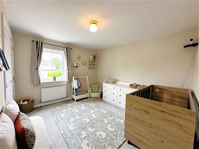 Picture 14
